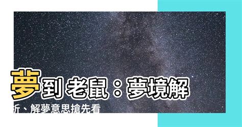 發夢見到老鼠|發夢見到老鼠